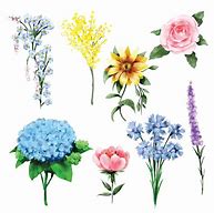 Image result for Wild Flowers On White Background