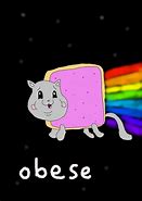 Image result for Fat Nyan Cat