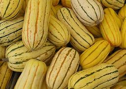 Image result for Common Squash Types