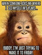 Image result for Funny Thursday Monkey Memes