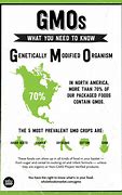 Image result for GMO Food Chart