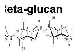 Image result for Beta-Glucan