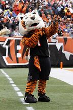Image result for Cool Cat Mascot
