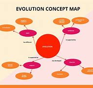 Image result for Evolution Concept Map