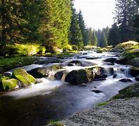 Image result for Beautiful Country Stream