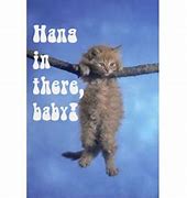 Image result for Hang in There Cat Simpsons