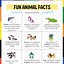 Image result for List of Interesting Facts Printable