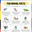 Image result for interesting facts of the day for children