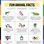 Image result for Picture of Fun Facts