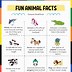 Image result for True Fun Facts