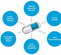 Image result for Tablet and Capsule Excipients