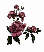Image result for Gothic Rose Art