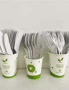 Image result for Biodegradable Cutlery