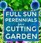 Image result for Full Sun Perennials Zone 4