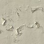 Image result for Rough Stucco