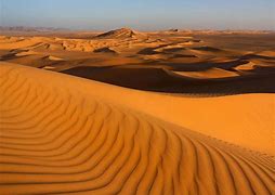 Image result for Desert Big Area