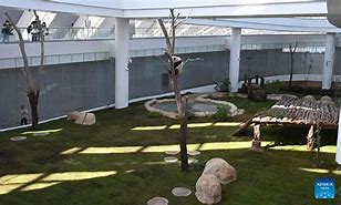 Image result for Panda Park Doha