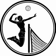 Image result for Teal Volleyball