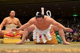 Image result for Sumo Wrestling Tournament