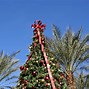 Image result for Christmas Arizona Desert Desktop