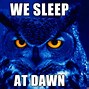 Image result for Funny Night Owl Memes