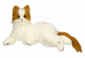 Image result for Fur Real Cat Toy