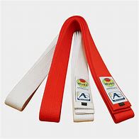 Image result for Goju Ryu Karate Belts