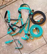 Image result for SCLD Bridles