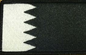 Image result for Black Flag Bahrain