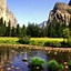 Image result for Nature Wallpaper iPhone X