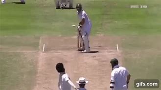 Image result for Cricket Out GIF