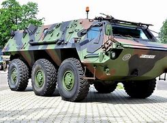 Image result for Tpz Fuchs Wildcat