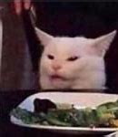 Image result for Cat On Table Meme Template