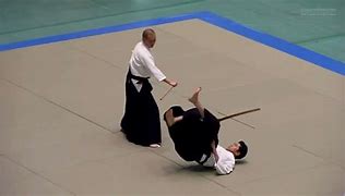 Image result for Aikido Stick