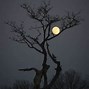 Image result for Full Moon Scenery