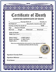 Image result for Official Death Certificate Blank