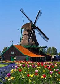 Image result for Dutch Windmill Water