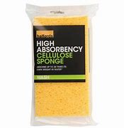 Image result for Large Cellulose Sponge