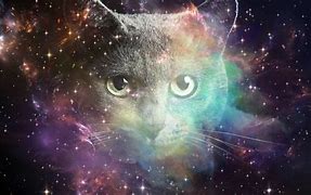 Image result for Galaxy Cat Art