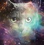 Image result for Galaxy Cat Wallpaper Meme