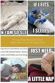Image result for Sleeping Brain Meme Template