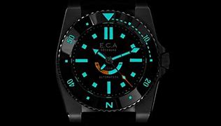 Image result for FSE Timex Water-Resistant Watch