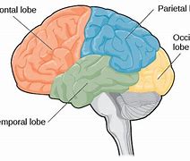 Image result for Brain Out Level-5