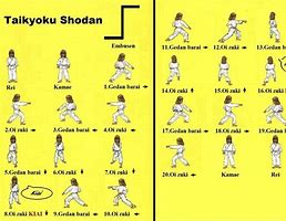 Image result for Z Karate Style