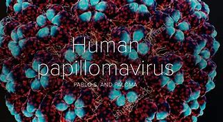 Image result for Human Papillon Virus