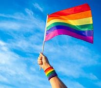 Image result for Boycott Symbol Pride Month