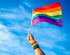 Image result for Pride Month PPE