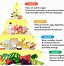 Image result for Basic Food Pyramid