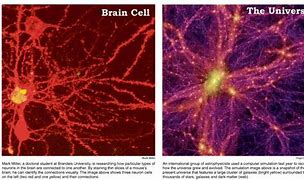 Image result for Spaces in the Brain