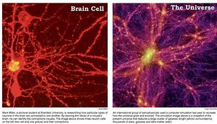 Image result for Universe Is a Huge Brain